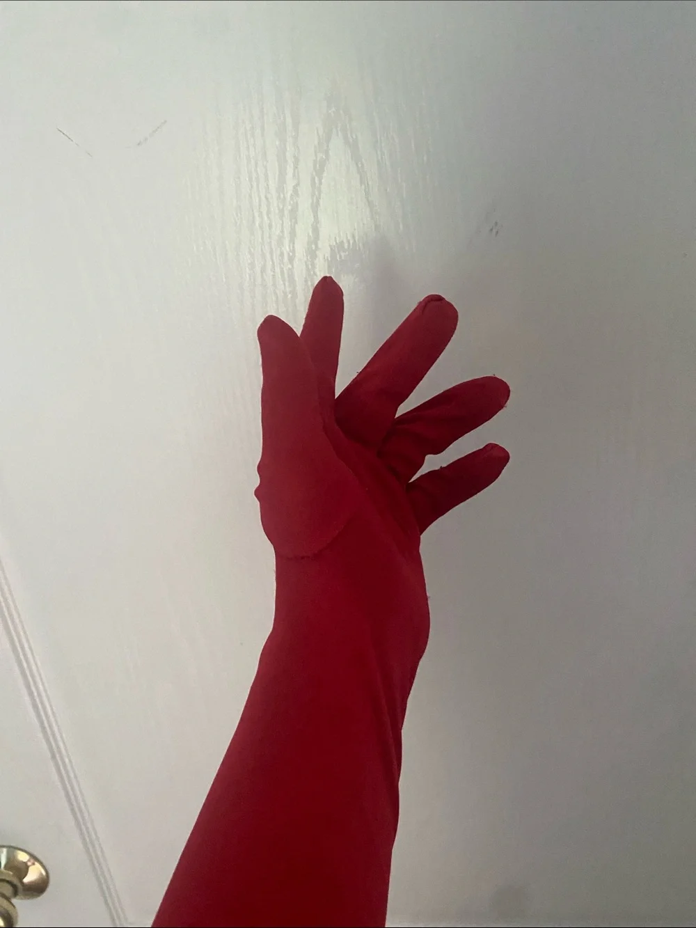 Amazon Red Long Satin Gloves